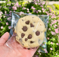 The Original BBB Chocolate Chip Cookie