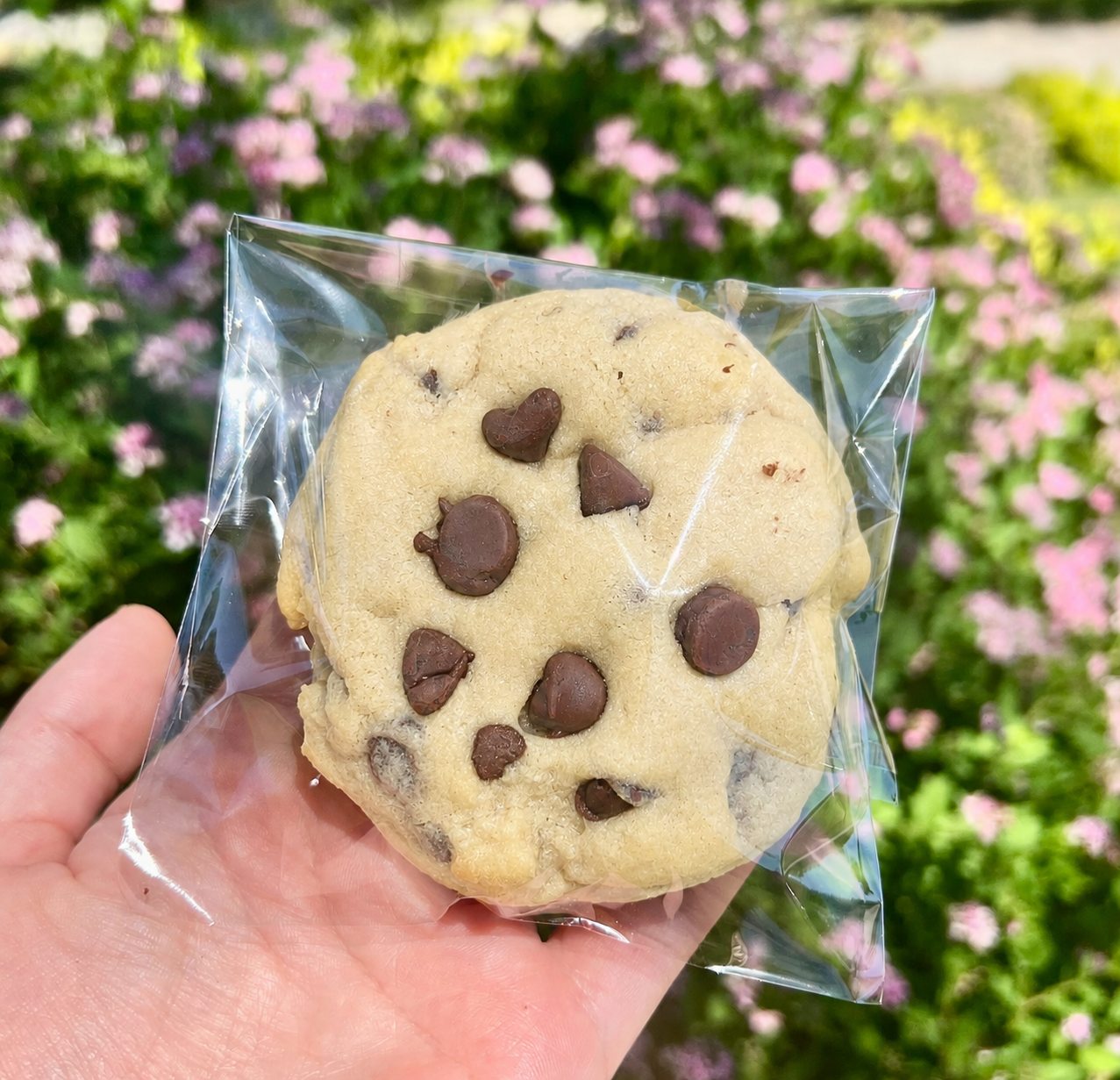 The Original BBB Chocolate Chip Cookie
